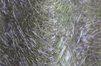 Hanbury Woodend fibreglass roof work